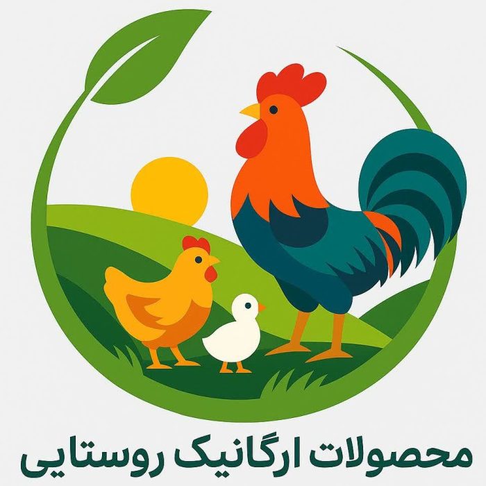 photo_2025-11-27_05-27-03