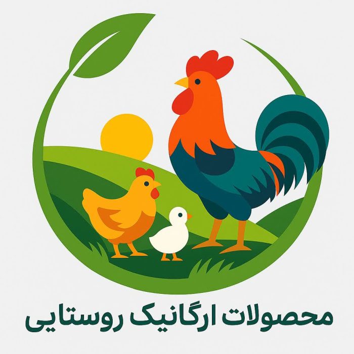 photo_2025-11-27_05-27-03